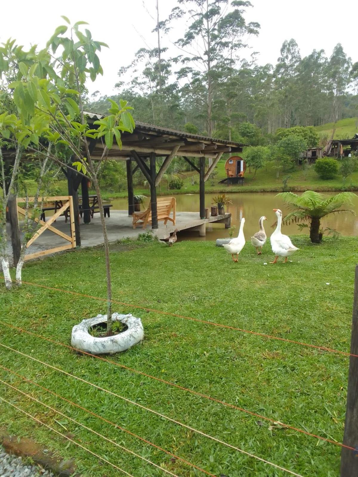 Casinha Do Pomar Doutor Pedrinho