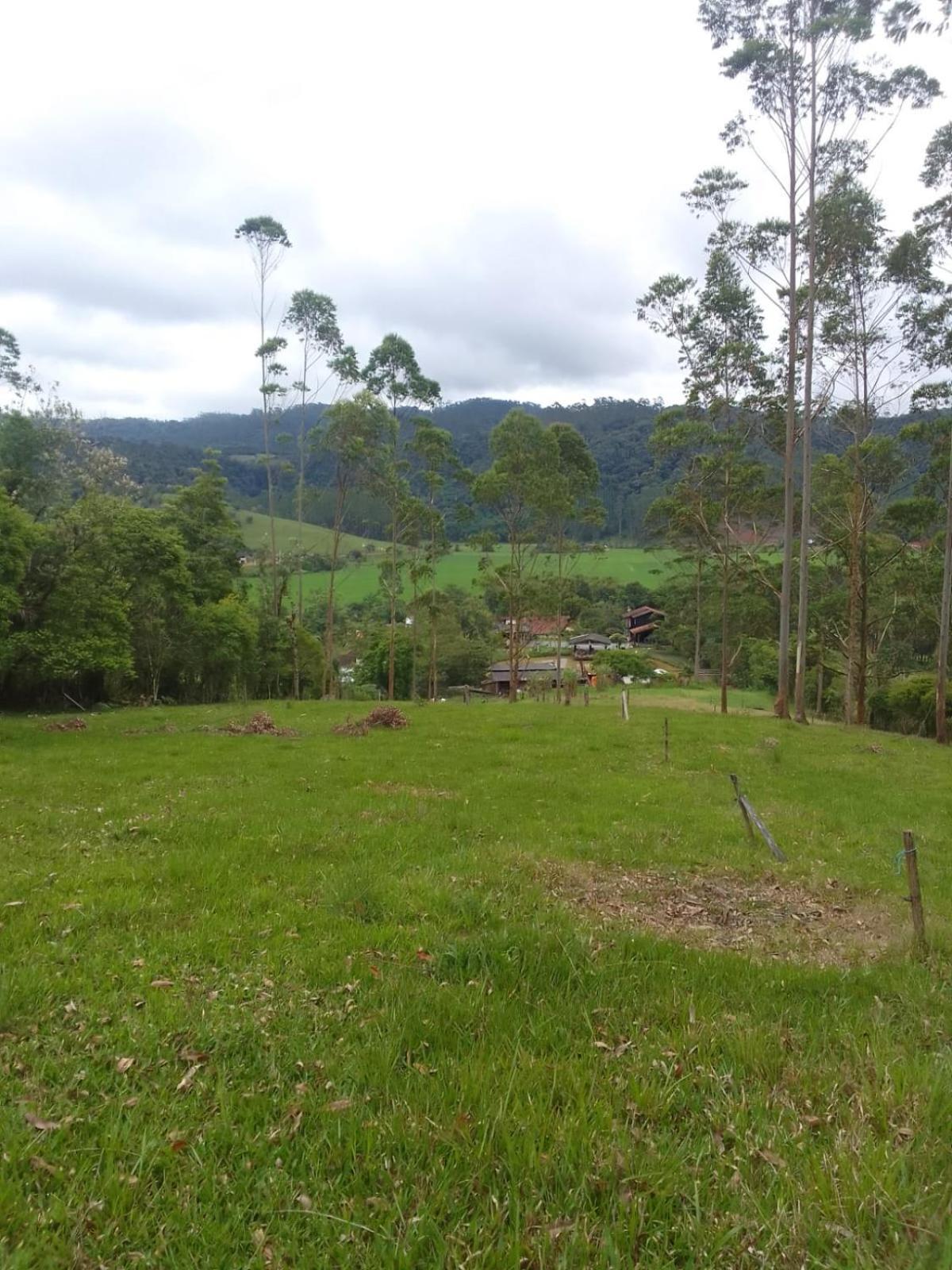 Casinha Do Pomar * Rio Forcação