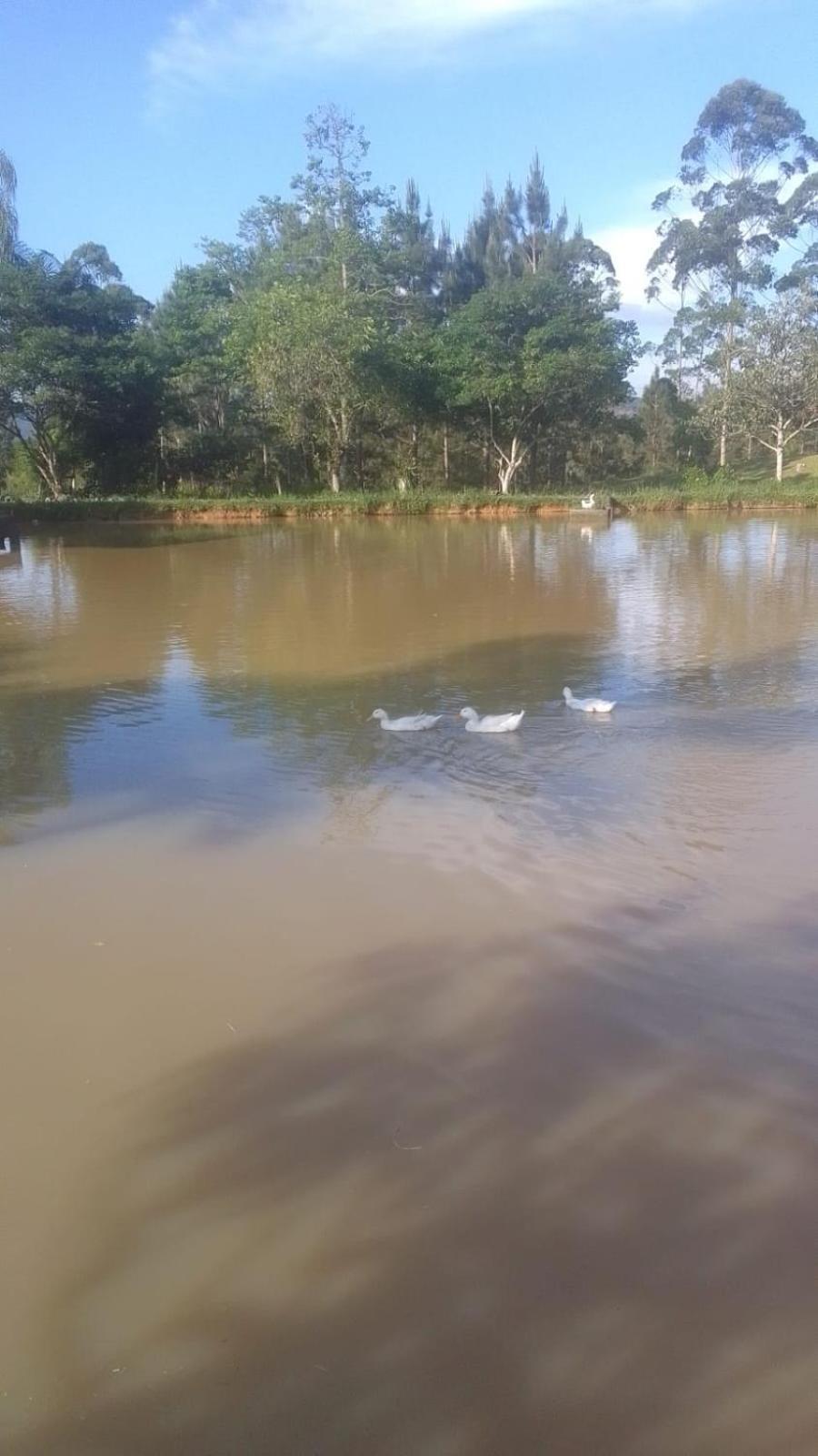 Casinha Do Pomar Alojamento de Turismo Selvagem *